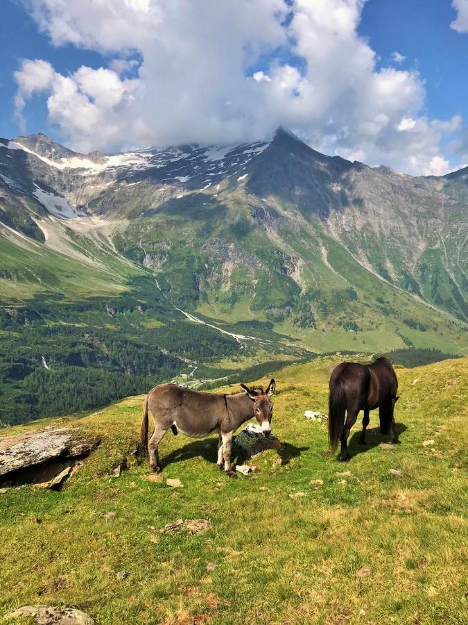 Appartamento Tauernfex Kaprun